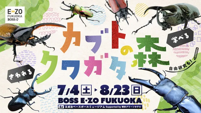 カブト・クワガタの森