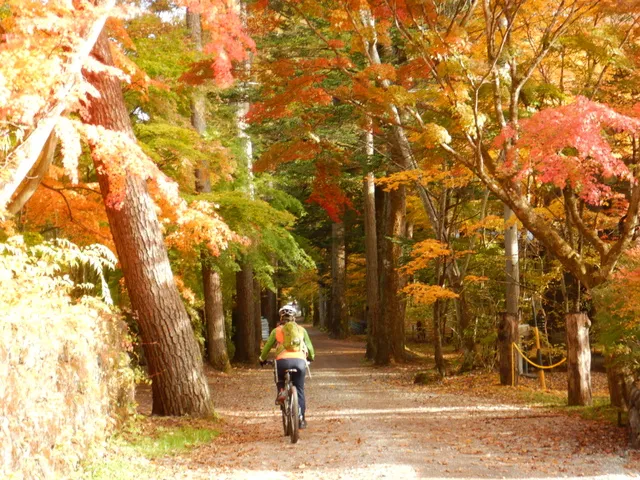 秋の紅葉「軽井沢うらみち探検ライド」MTBダート体験＆観光サイクリング　アウトドア自然体験ツアー