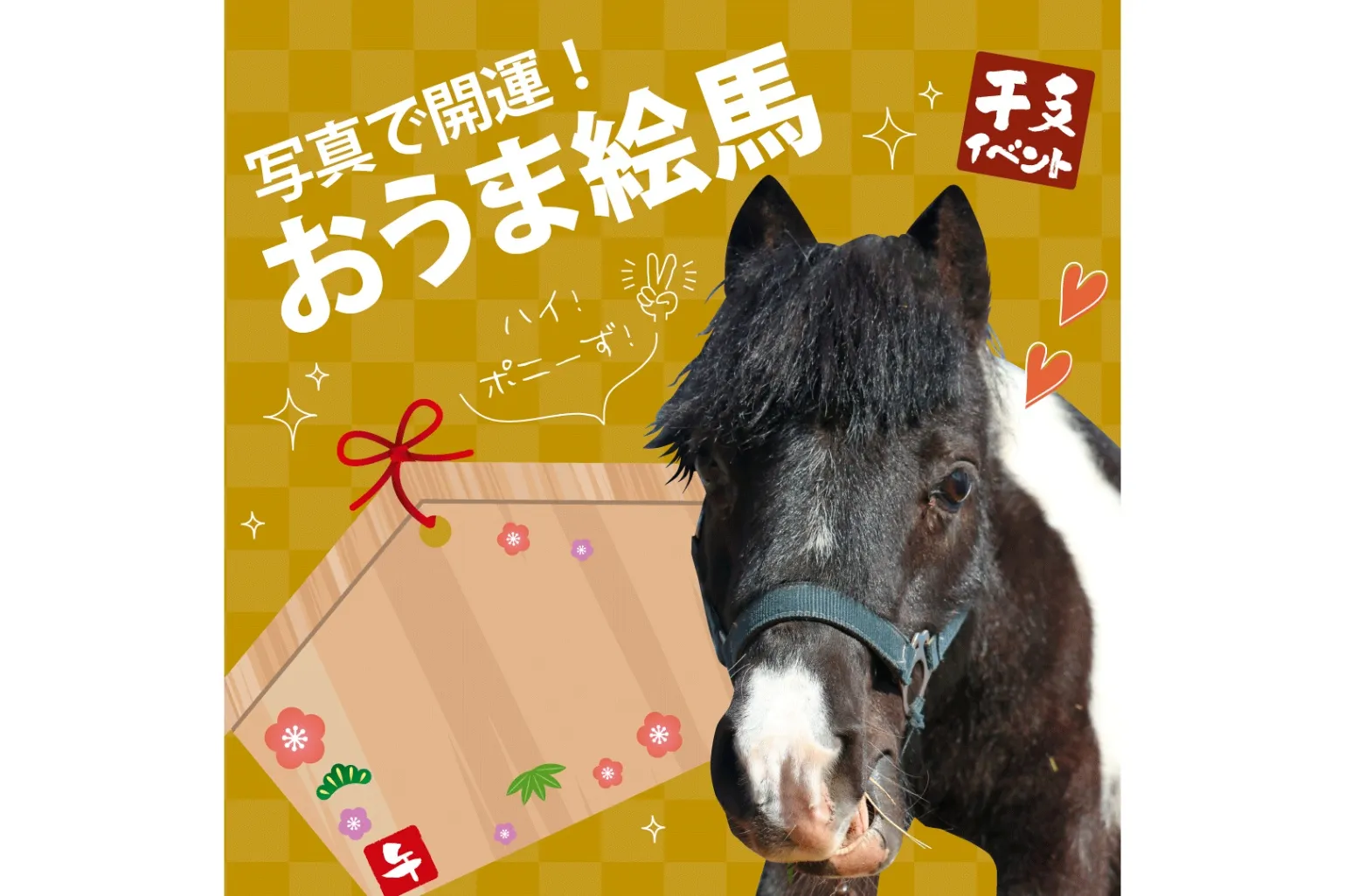 ひつじの大行進～午年編～_3