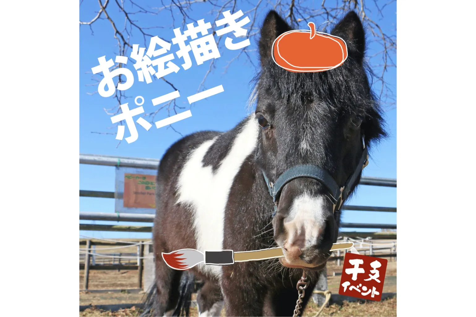 ひつじの大行進～午年編～_4