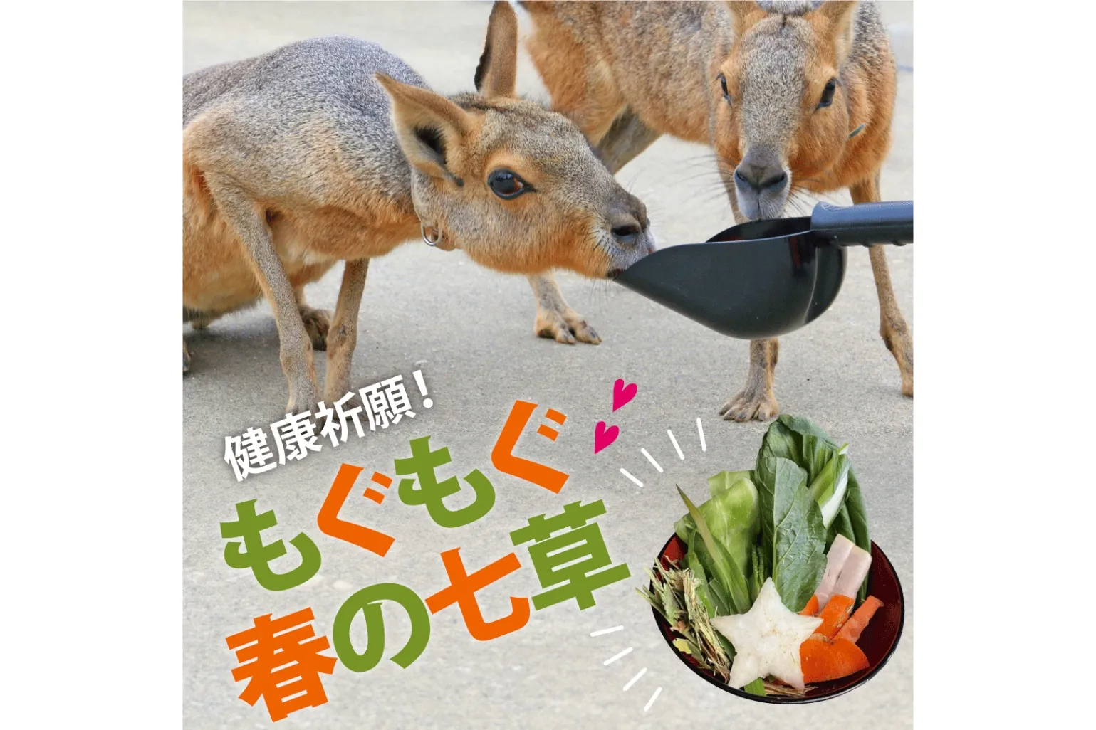 ひつじの大行進～午年編～_8