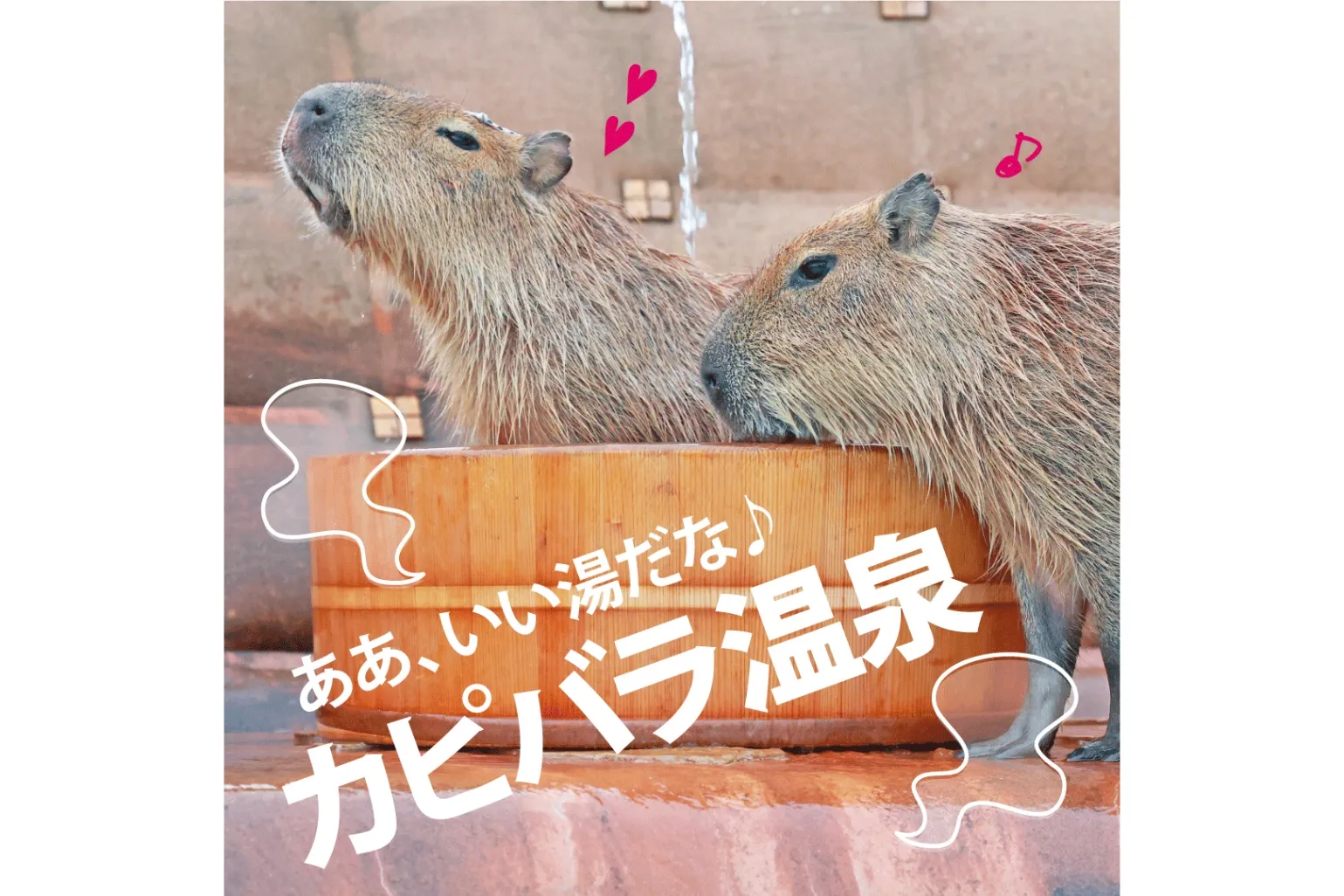 ひつじの大行進～午年編～_9