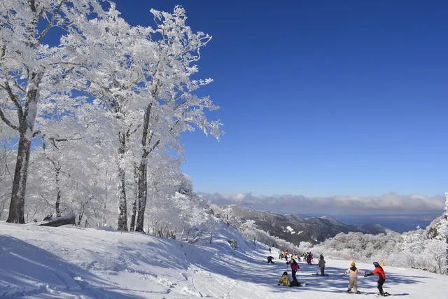 五ヶ瀬ハイランドスキー場 2026 SEASON オープン