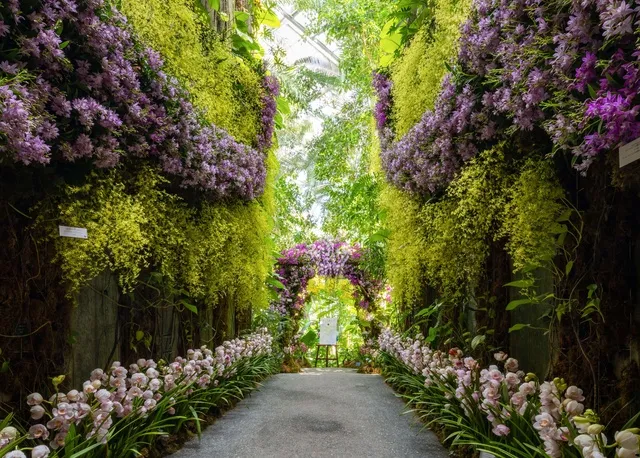 第20回ラン展「ようこそ！冬の華やかな温室へ」