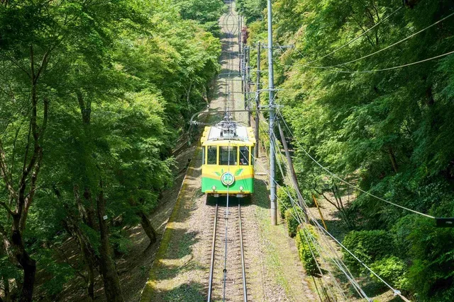 第27回高尾山若葉まつり