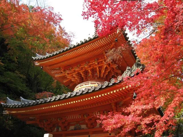 牛滝山もみじまつり