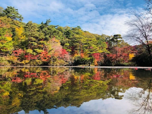 【紅葉・見ごろ】神戸市立森林植物園