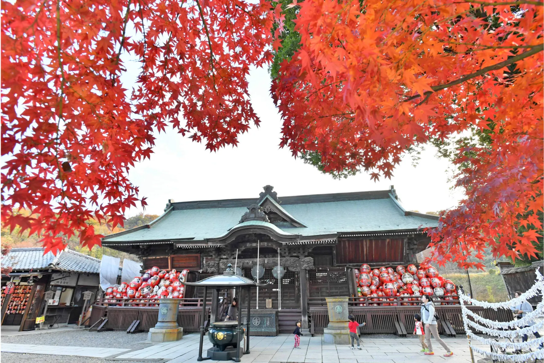 少林山達磨寺の紅葉情報_2