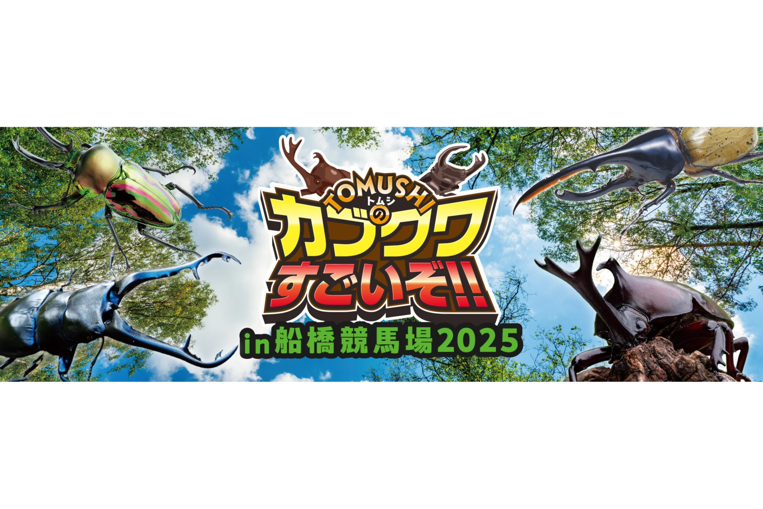 カブクワオタク TOMUSHI のカブクワすごいぞ!!in 船橋競馬場2025