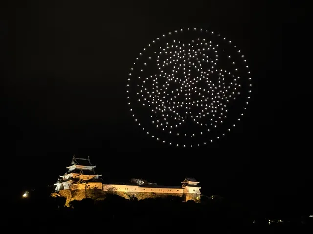 WAKAYAMA LIGHTS 2025