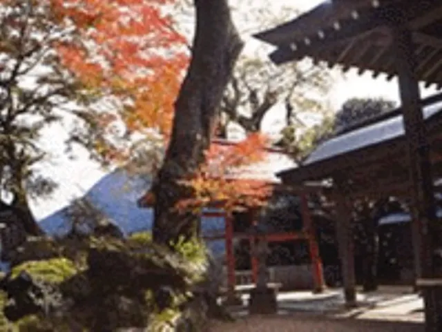 【紅葉・見ごろ】持性院