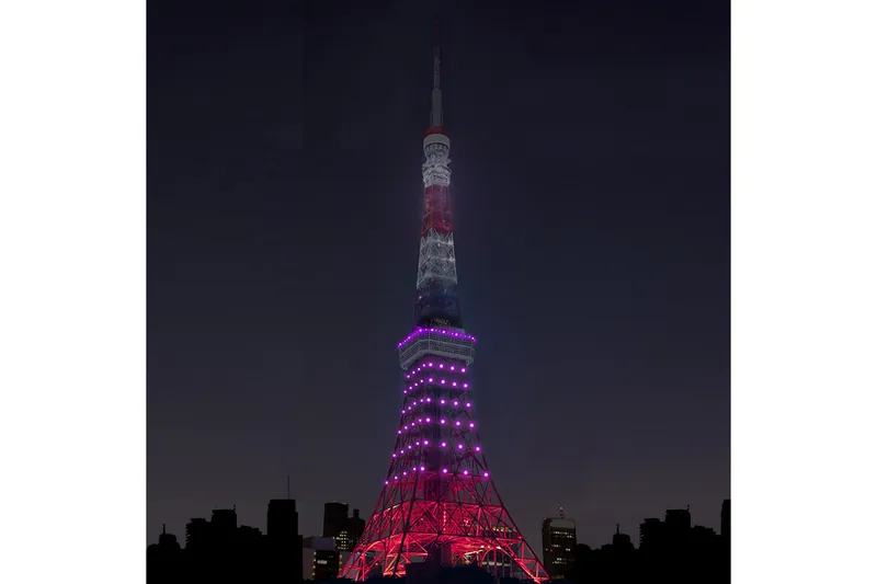 東京タワー　お月見外階段ウォーク