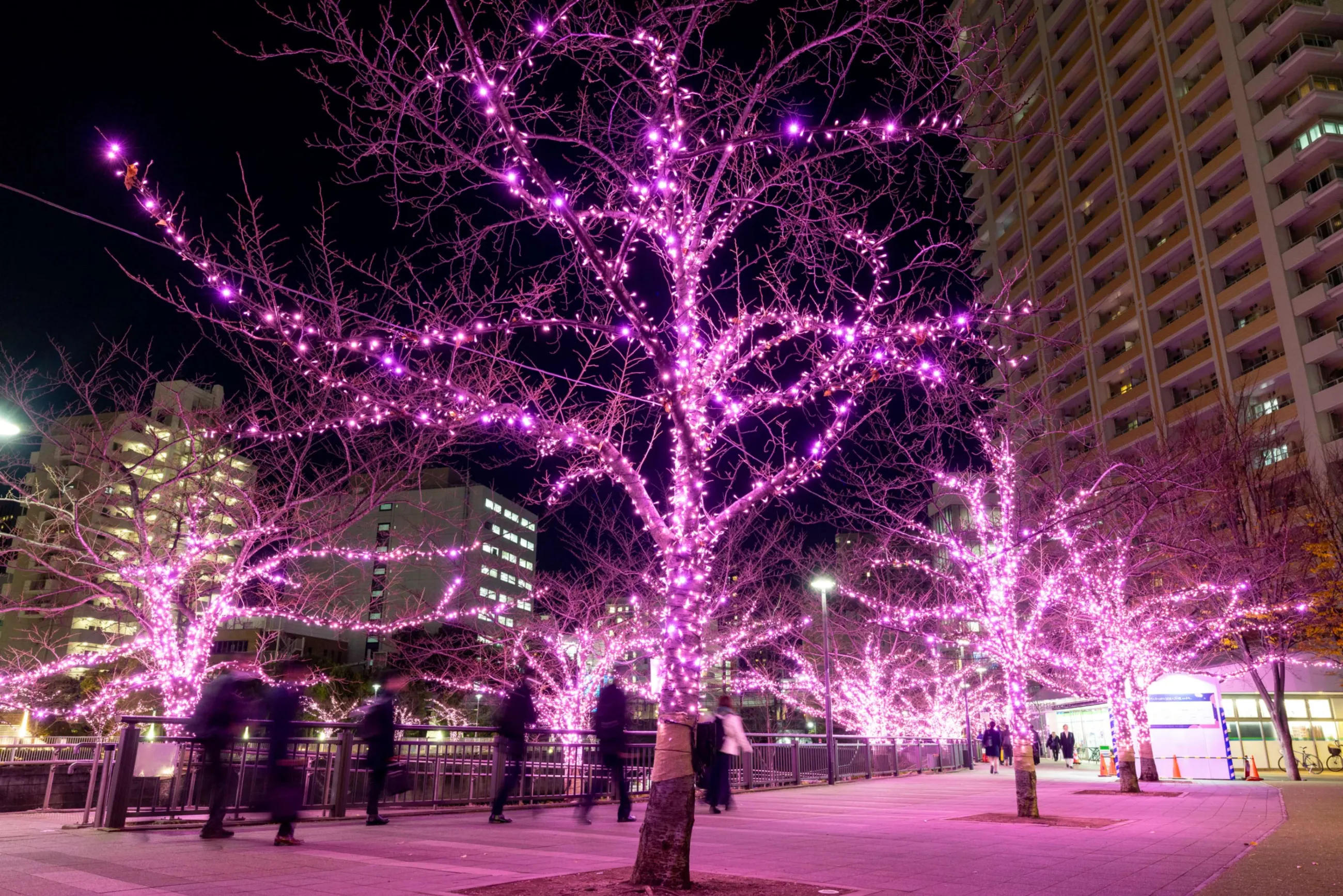 品川のイルミネーション2025-2026