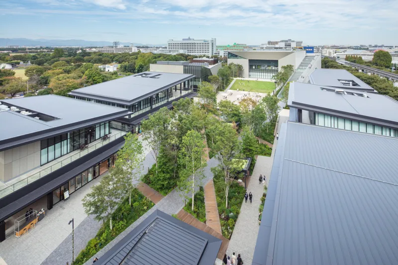 立川めだかフェス_2