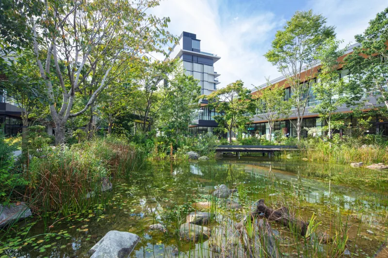 立川めだかフェス_4