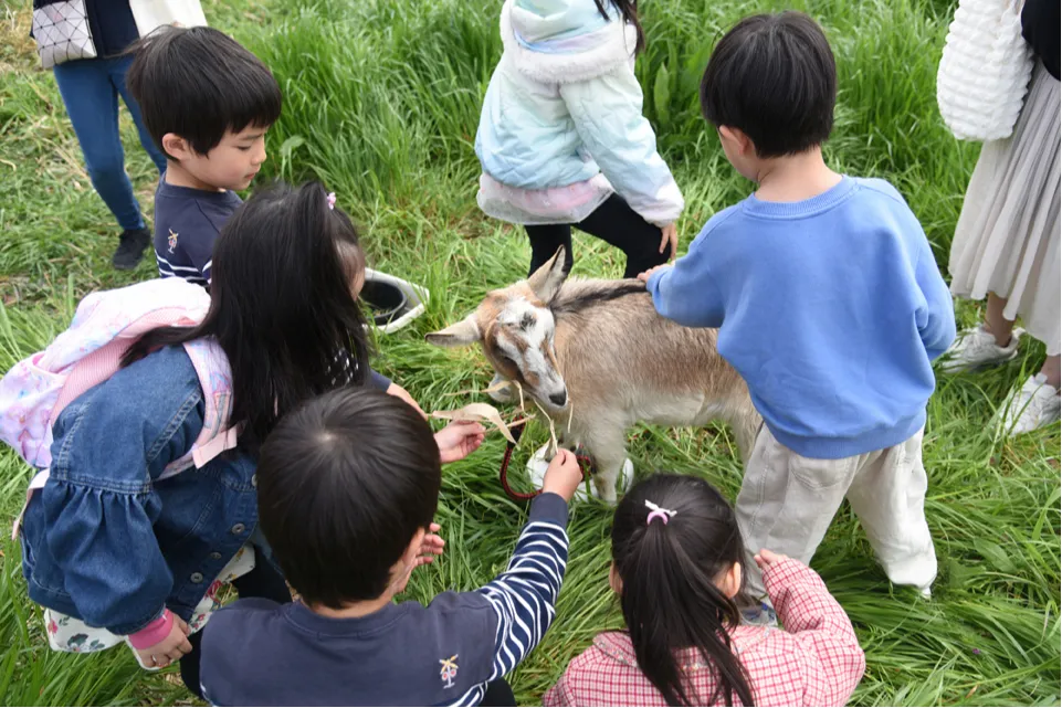 春の海の森まつり 海の森公園_2