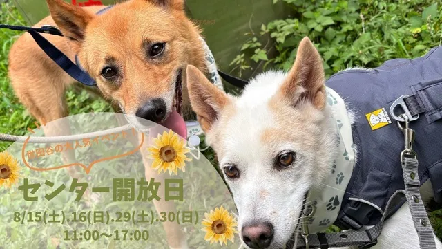 センター開放日「保護犬に会いに行こう！」(世田谷譲渡センター)