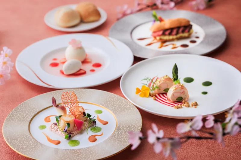 OISO SAKURA ART2025_4