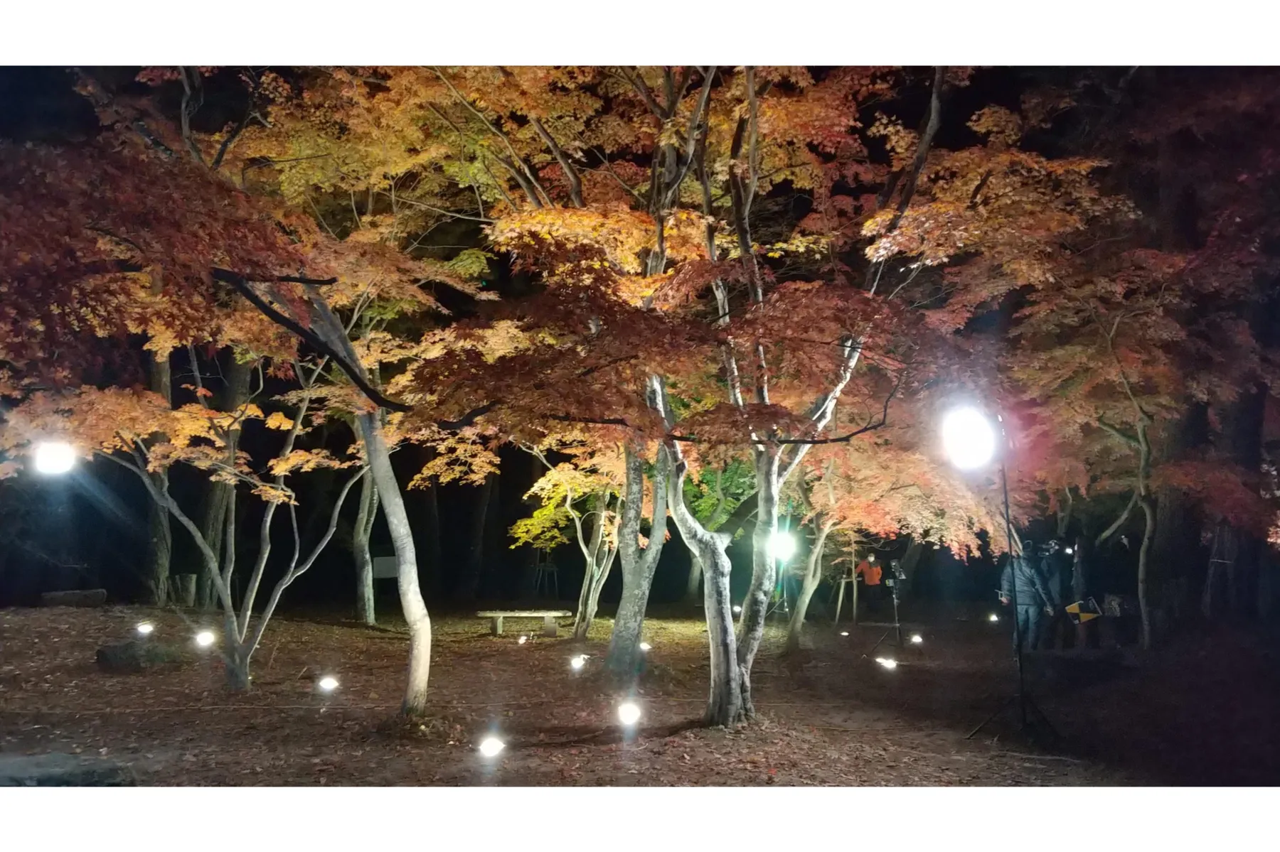 月の石もみじ公園ライトアップ_3
