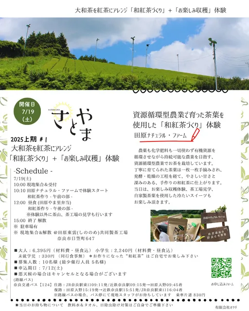 大和茶を紅茶にアレンジ「和紅茶づくり」+「お楽しみ収穫」体験