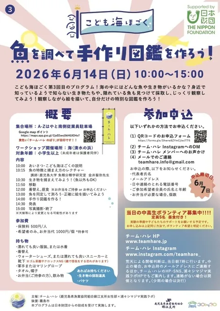 魚を調べて手作り図鑑を作ろう！