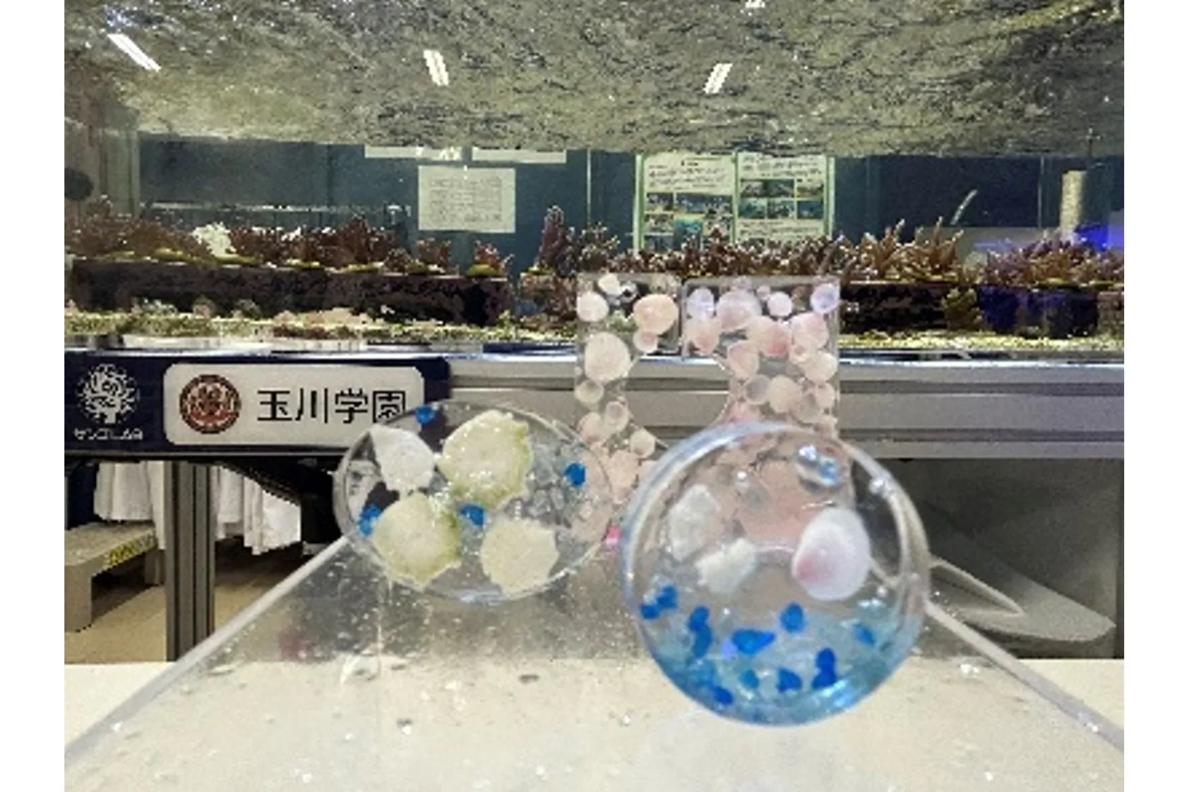 海洋都市横浜うみ博2026_5