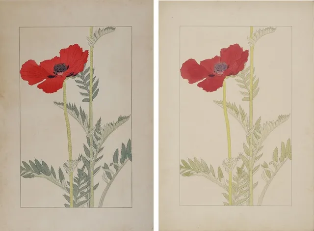 生誕150年 杉浦非水と『非水百花譜』