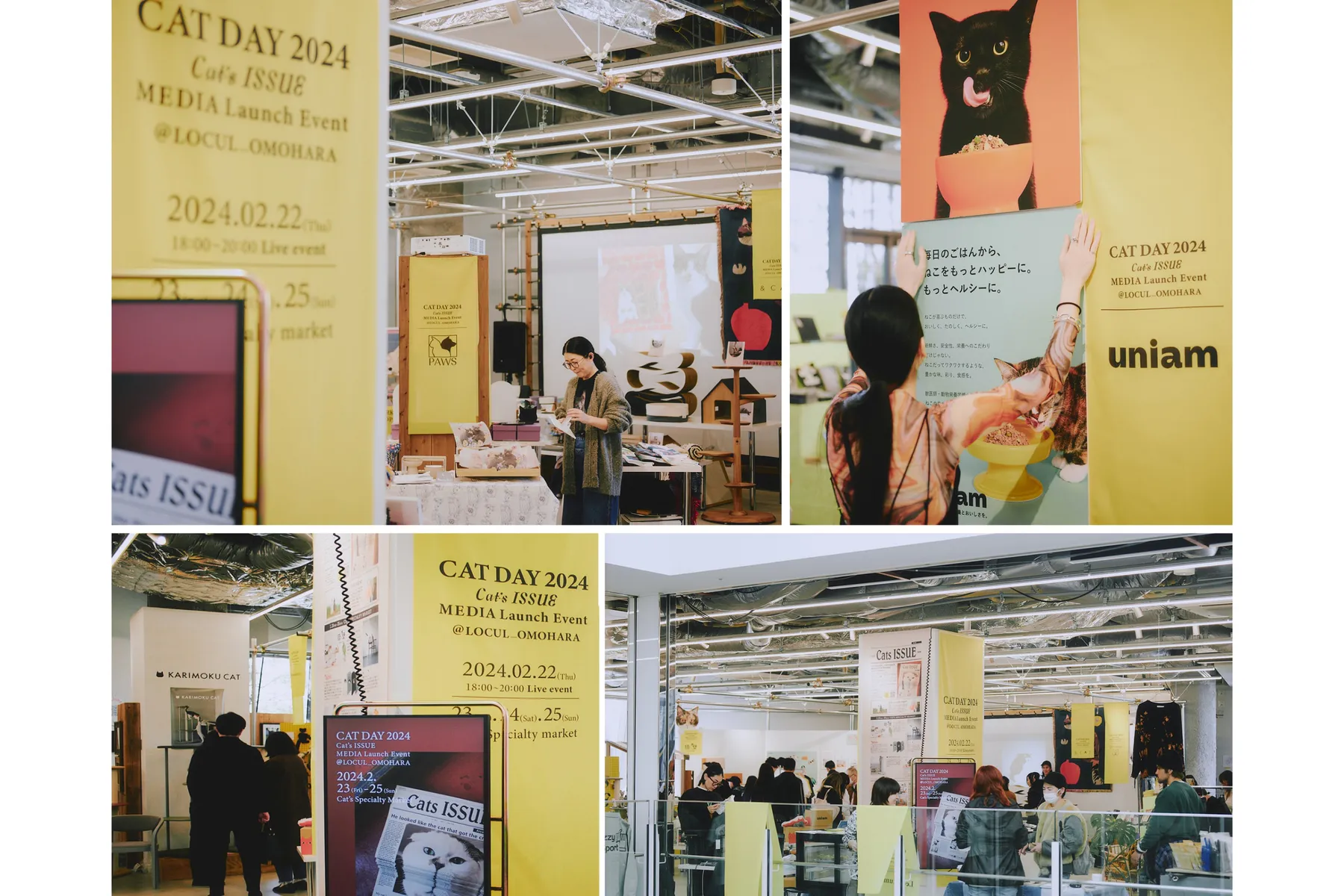THE Cat’s ISSUE FES 2026_2