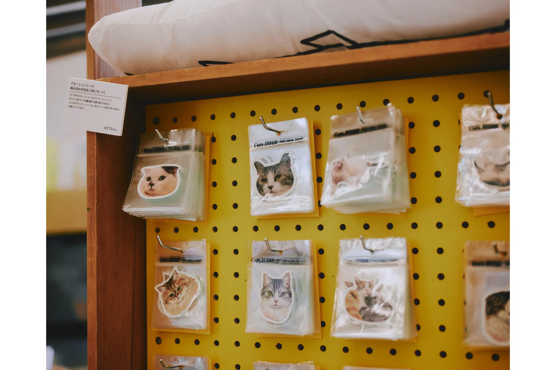 THE Cat’s ISSUE FES 2026_5