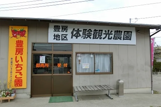 館山でいちご狩り　（とよふさいちご園）