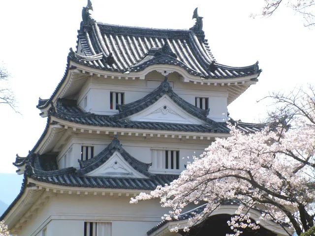 【桜・見ごろ】宇和島城
