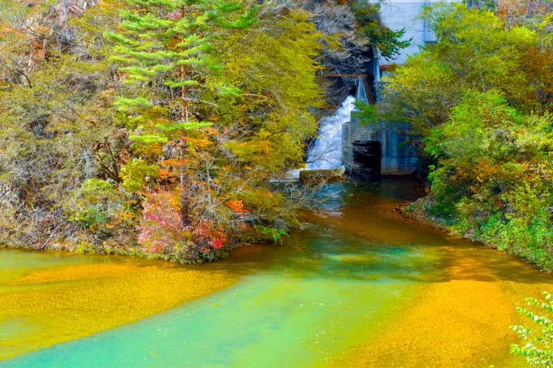 白砂渓谷ラインの紅葉情報_2