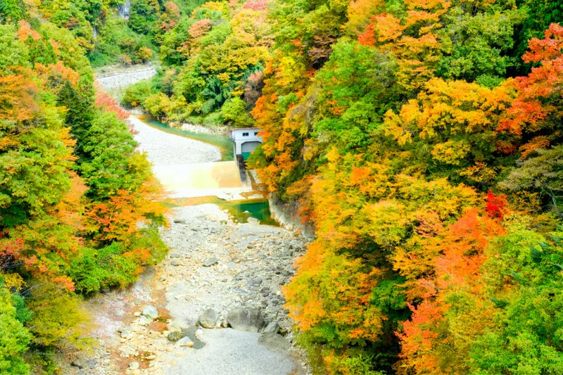白砂渓谷ラインの紅葉情報_3