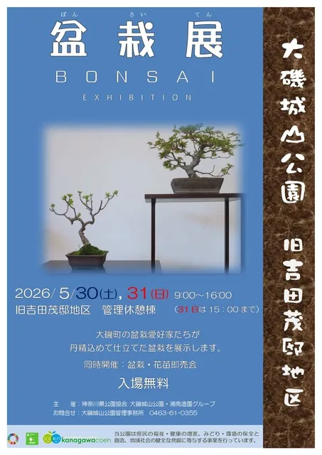 初夏の盆栽展