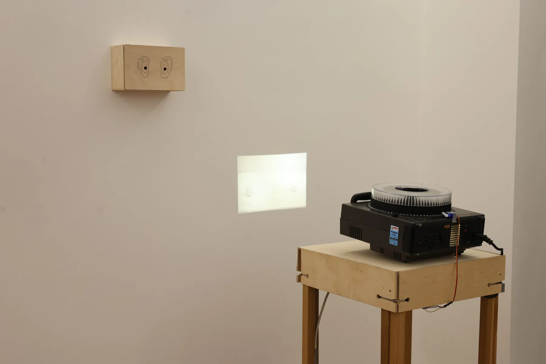 shiraki、ZENZABURO、宮瀬環、松野ももによる四人展「Generic Foods」_8