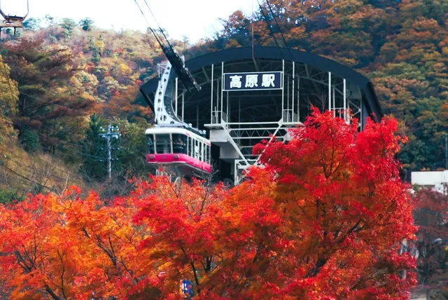 【紅葉・見ごろ】鶴見岳