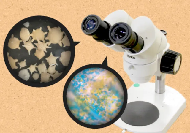 科学教室　顕微鏡でのぞく小さな世界
