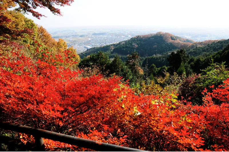 太平山の紅葉情報_1