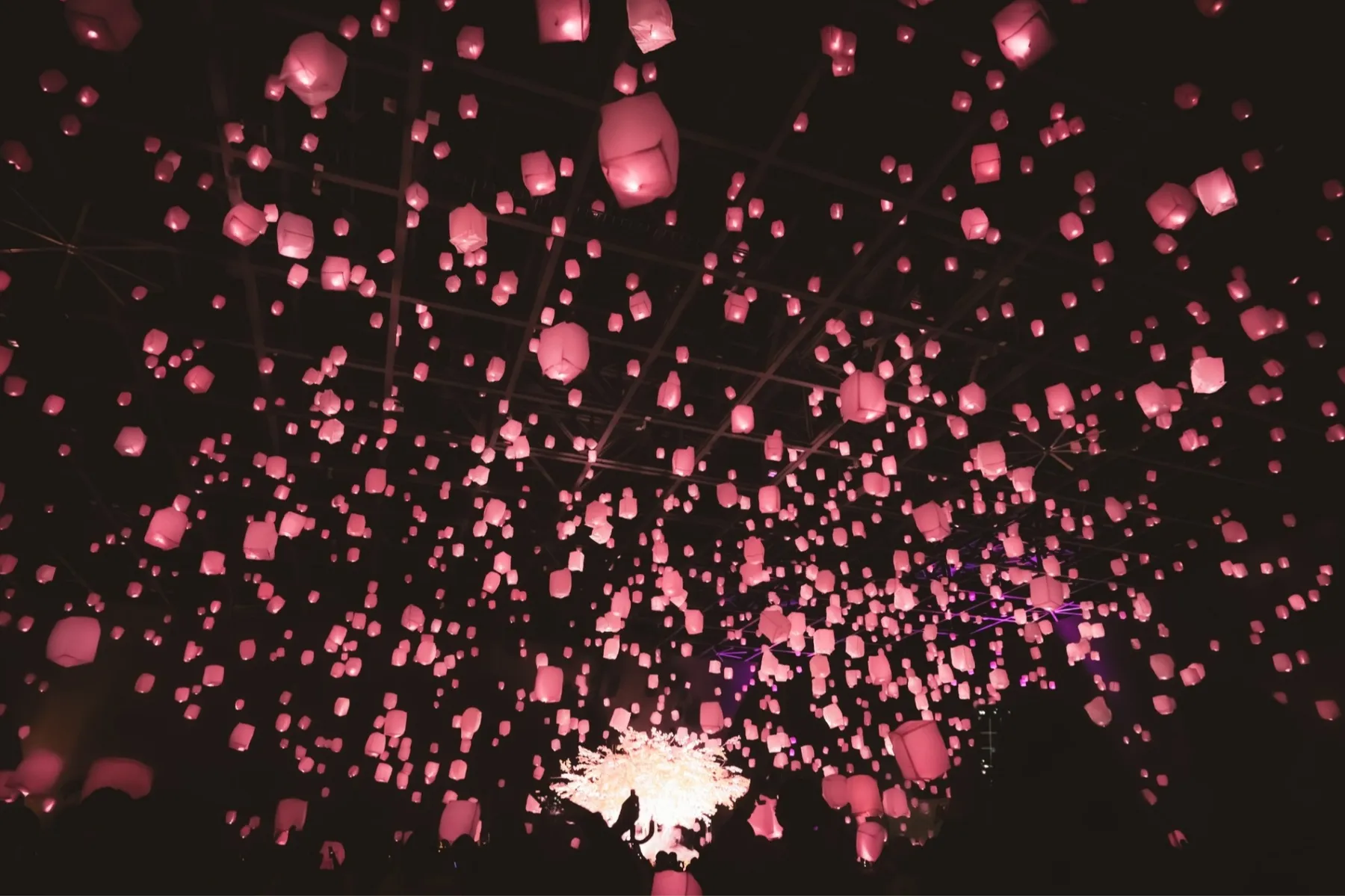 花見灯夜2026_2