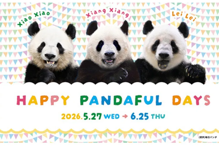 HAPPY PANDAFUL DAYS
