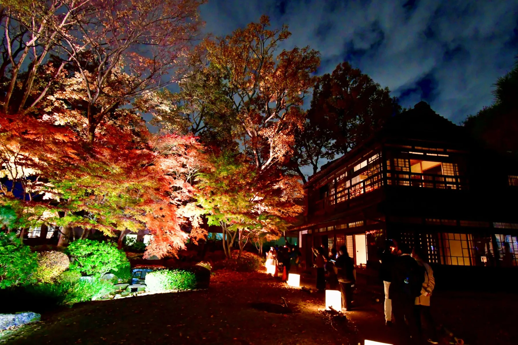 夜間特別開園 紅葉とたてもののライトアップ_1