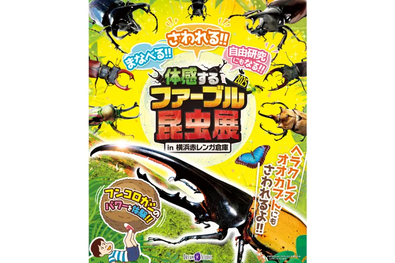 体感するファーブル昆虫展 2025 in 横浜赤レンガ倉庫_1