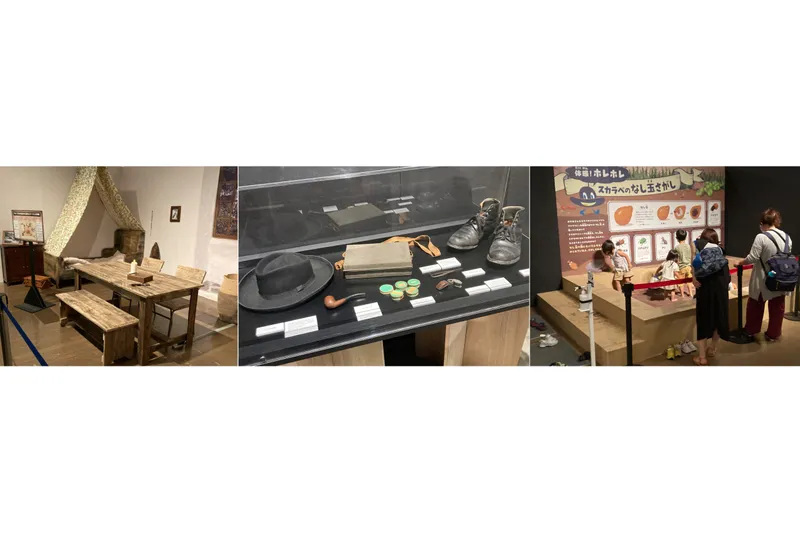 ■体感型展示：ファーブルが生まれ育った家を再現した新展示をはじめ、貴重な遺品の展示や、ふんころがしの驚きの力を体感できるコーナーなど、ファーブルの世界観を楽しみながら学べる内容となっています。