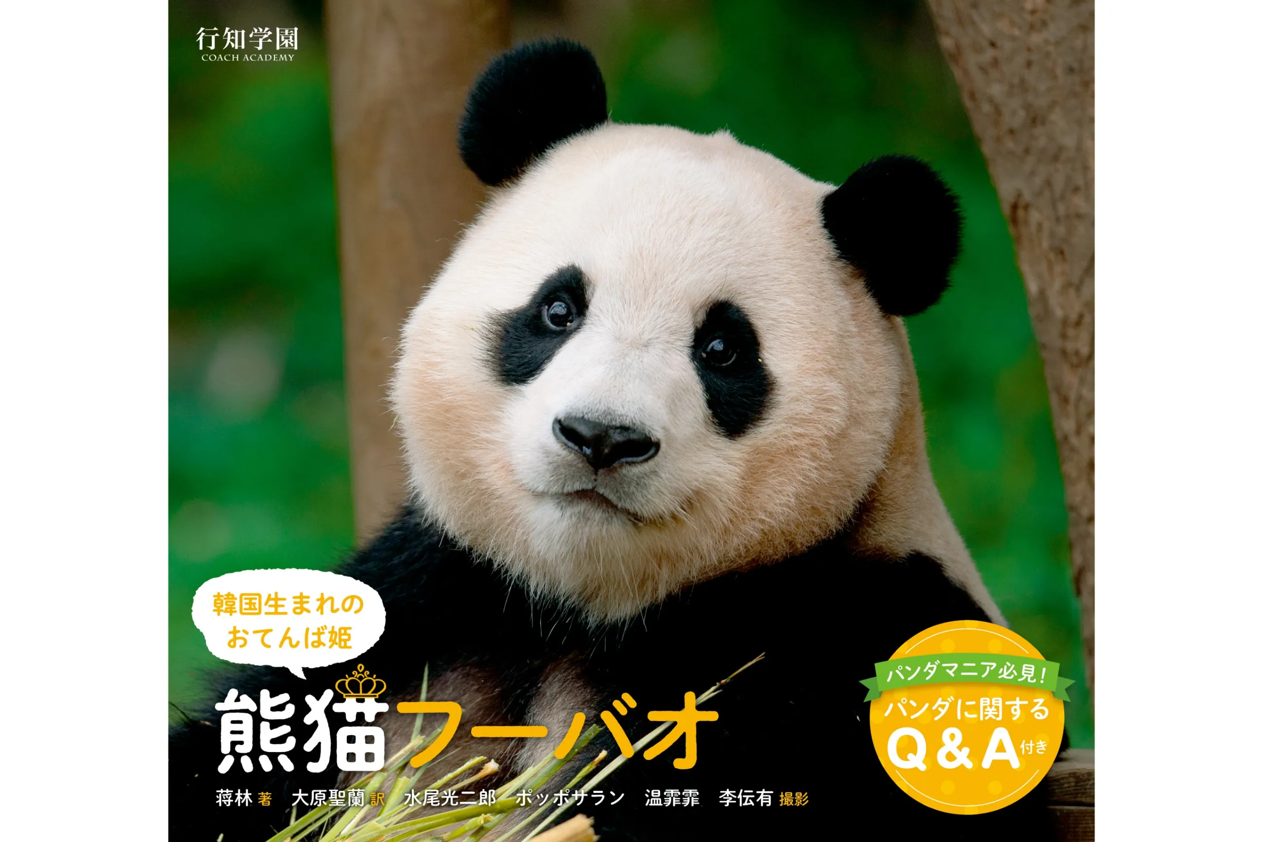 韓国生まれのおてんば姫 熊猫フーバオ』出版記念「大パンダ展」