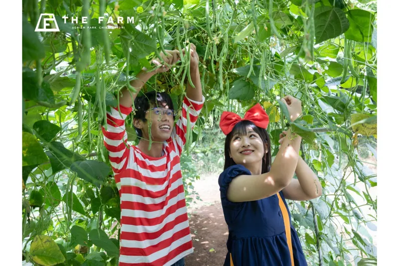 THE FARM コスプレ運動会_5