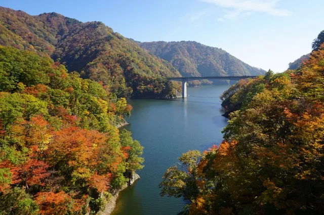 【紅葉・見ごろ】長井ダム（ながい百秋湖）
