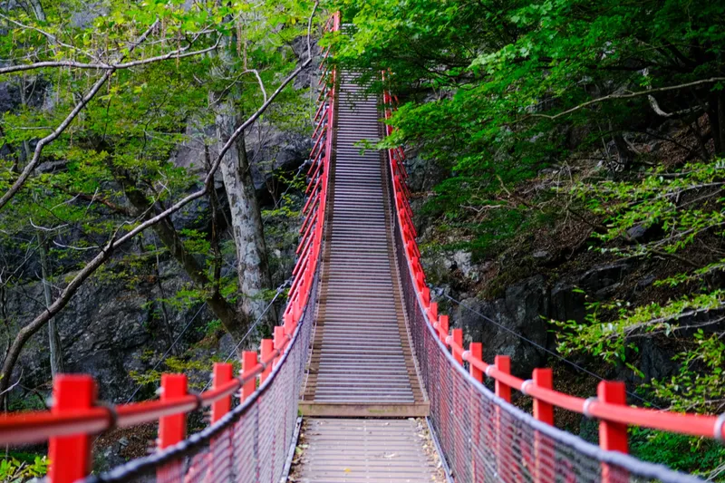 けさかけ橋