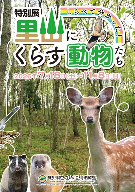 特別展「しらべて分かった！里山にくらす動物たち」_1