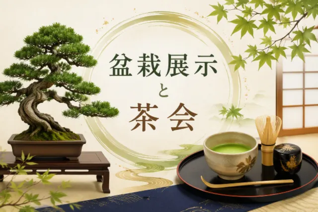 丸岡町盆栽会展示＆丸岡坂華道によるお茶会_1