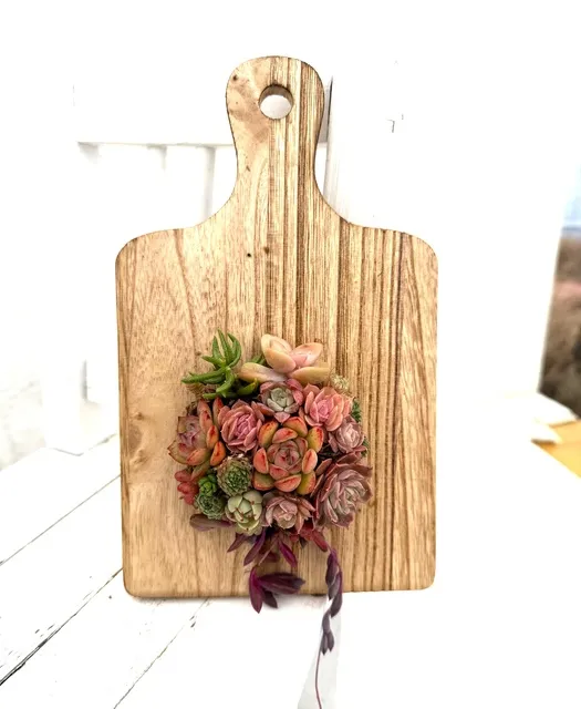 多肉植物の魅力満喫！エケベリアの寄せ植えづくり_1